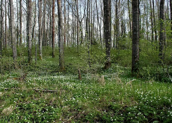 Casa vacanze Paerus Fors